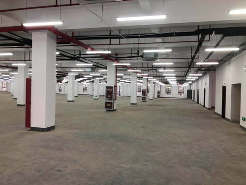 出租 100 5000平方廠房 倉庫 商務(wù)辦公場地